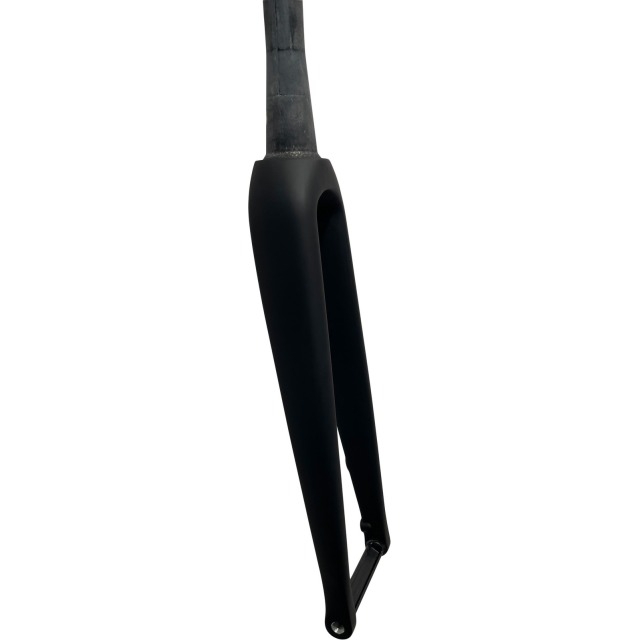 Price Carbon Gabel Road Disc