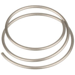 spring pour denture ratchet EXP 1 pcs