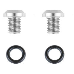 Entlüftungsschrauben 2x T10 M4 + O-Ringe DRT/MXA-Pumpe silber