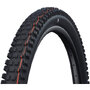 Schwalbe Faltreifen Albert Evo Trail Pro TLR Soft E-50 Schwarz