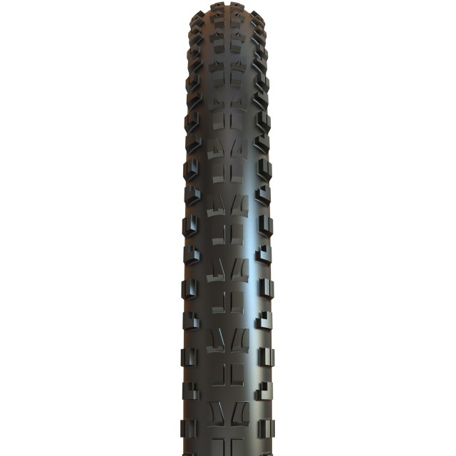 Maxxis Faltreifen Minion DHF EXO TR 120TPI MaxxTerra E-25 Schwarz
