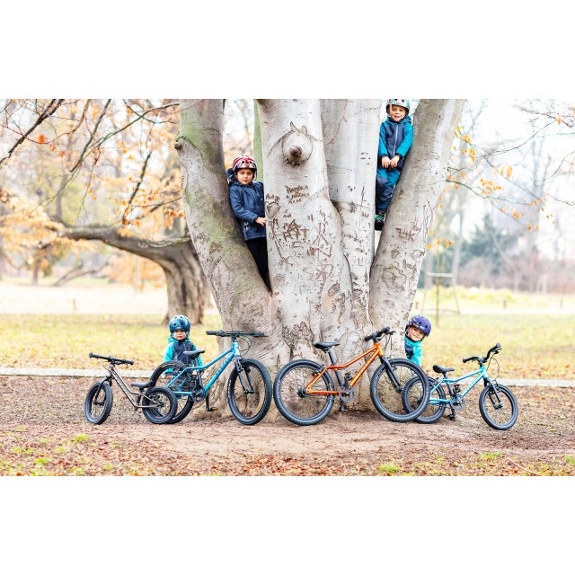 Rascal Bikes V&eacute;lo enfants 14 pouces Belt Drive 1 vitesse