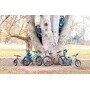 Rascal Bikes Kinder Fahrrad 16 Zoll Belt Drive 1-Gang