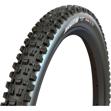 Maxxis Pneus pliants Assegai EXO+ TR 60TPI MaxxTerra E-25 Noir